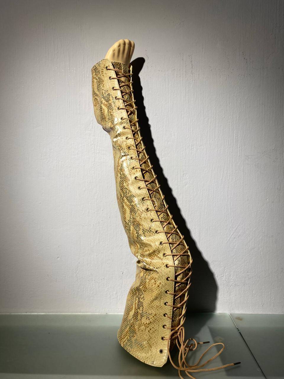 Краги-Ботфорты золотая змея